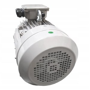 Silnik IE1 2.2 kW 230V